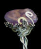 Amethyst and Sterling Ring